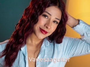 Vanesaaguilar