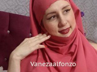 Vanezaalfonzo