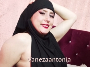 Vanezaantonia