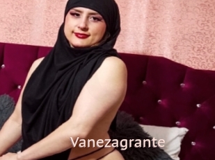 Vanezagrante