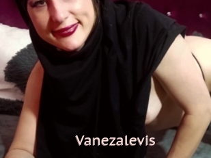 Vanezalevis