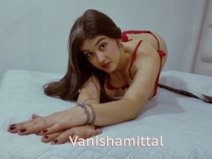 Vanishamittal