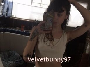 Velvetbunny97