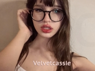 Velvetcassie