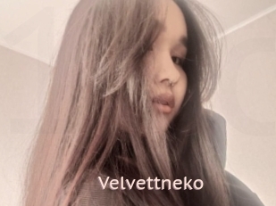 Velvettneko