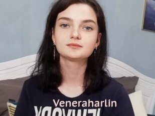 Veneraharlin