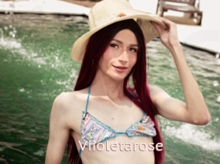 Viioletarose
