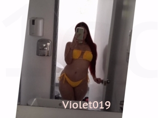 Violet019