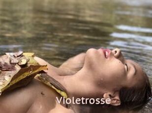 Violetrosse