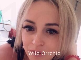 Wild_Orrchid