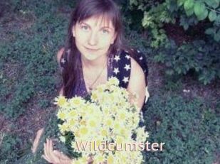 Wildcumster