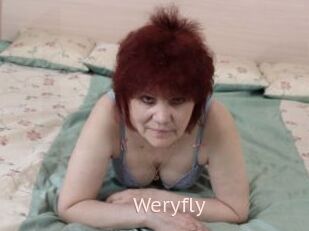 Weryfly