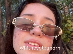 Whitneygleghorn