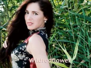 Wildredflower