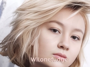 Wilonefudge