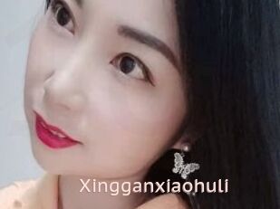 Xingganxiaohuli