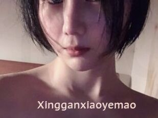 Xingganxiaoyemao