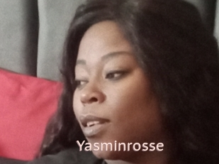 Yasminrosse