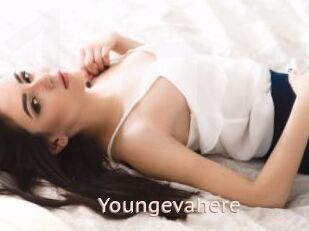 Youngevahere