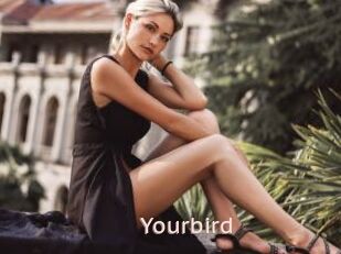 Yourbird
