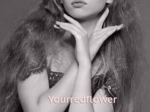 Yourredflower