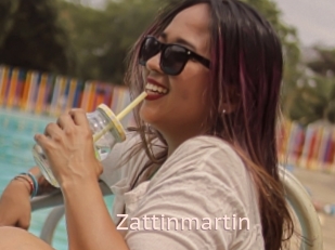 Zattinmartin