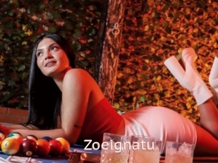 Zoeignatu
