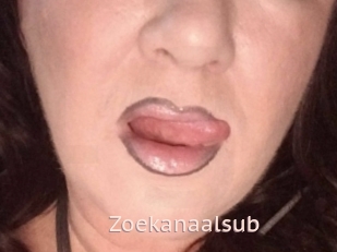 Zoekanaalsub